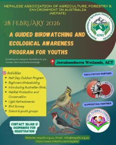 NEPAFE Successfully Delivers Guided Birdwatching and Ecological Awareness Program for Youth at Jerrabomberra Wetlands