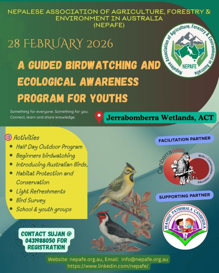NEPAFE Successfully Delivers Guided Birdwatching and Ecological Awareness Program for Youth at Jerrabomberra Wetlands